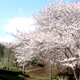 春の風景その３